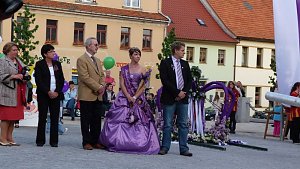 Fliederkrone gesetzt