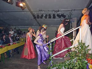 Fliederkönigin 20011 gekürt