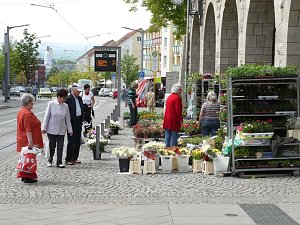 Blumen und mehr