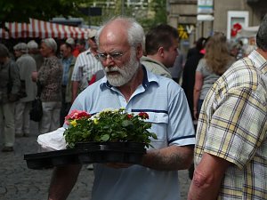 Blumen und mehr