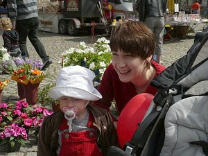 Blumen und mehr