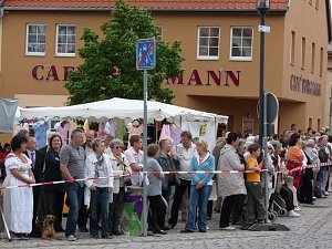 Fliederkorso in Frankenhausen