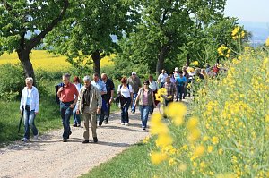 Unterwegs im Wald