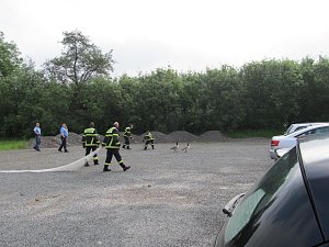 Eingefangen