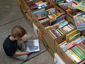 B&uuml;cher, B&uuml;cher und nochmals B&uuml;cher