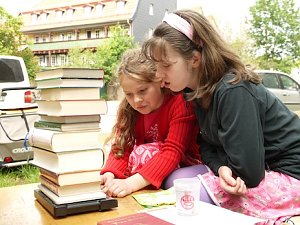 B&uuml;cher, B&uuml;cher und nochmals B&uuml;cher