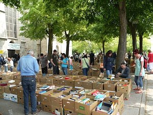 B&uuml;cher, B&uuml;cher und nochmals B&uuml;cher