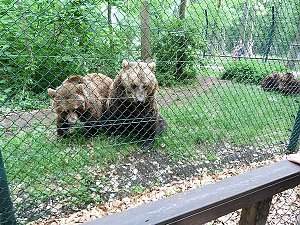 Auf dem Possen bei Sondershausen