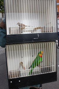 Die Markter&ouml;ffnung zum Residenzfest