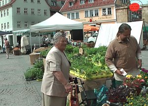 Impressionen Residenzfest