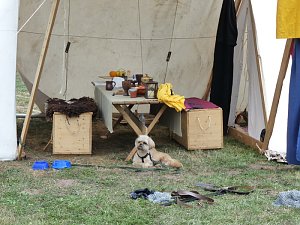 Impressionen Residenzfest
