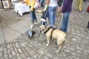Auf Handwerkermarkt