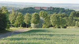 Konradsburg