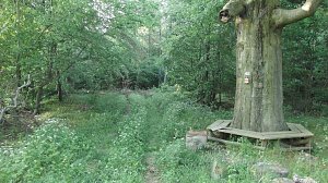 E 11 zwischen 211 und Wippra