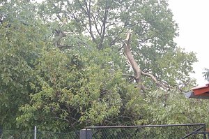 Sturm verursacht Sch&auml;den