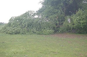 Sturm verursacht Sch&auml;den