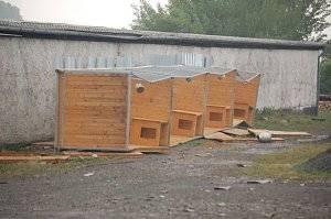 Sturm verursacht Sch&auml;den