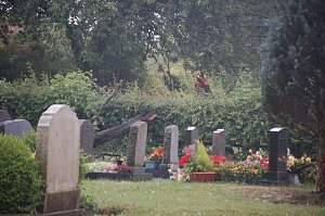 Sturm verursacht Sch&auml;den