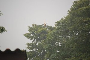 Sturm verursacht Sch&auml;den