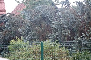 Sturm verursacht Sch&auml;den
