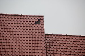 Sturm verursacht Sch&auml;den