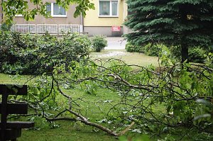 Sturm verursacht Sch&auml;den