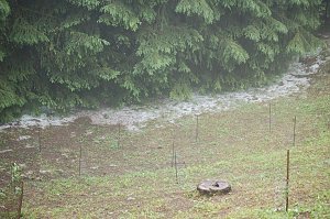 Sturm verursacht Sch&auml;den