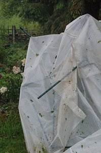 Sturm verursacht Sch&auml;den
