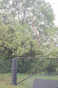 Sturm verursacht Sch&auml;den