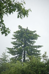 Sturm verursacht Sch&auml;den