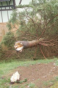 Sturm verursacht Sch&auml;den