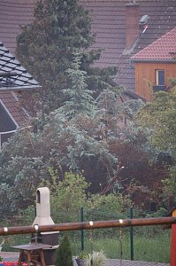 Sturm verursacht Sch&auml;den