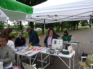 Fest in Kinderhand