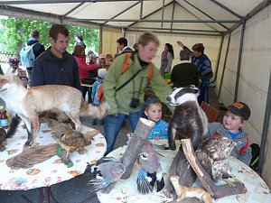Fest in Kinderhand