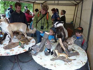Fest in Kinderhand