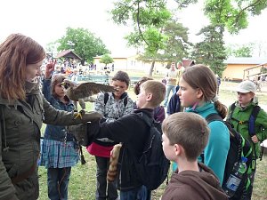 Kindertag im Ferienpark