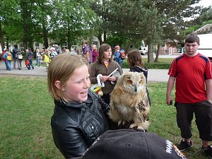 Kindertag im Ferienpark