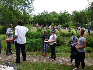 Piraten in der KKS