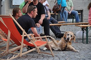 Aktionstag Nordhausen ist bunt