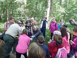 Waldjugendspiele begeisterten
