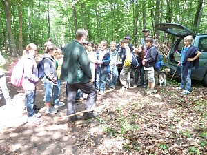 Waldjugendspiele begeisterten