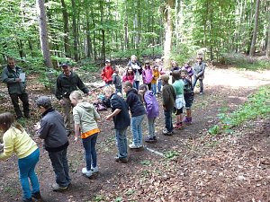 Waldjugendspiele begeisterten