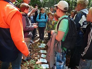 Waldjugendspiele begeisterten
