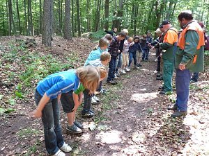Waldjugendspiele begeisterten