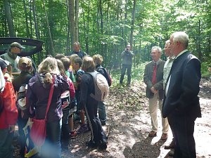 Waldjugendspiele begeisterten