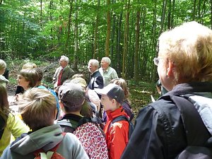 Waldjugendspiele begeisterten