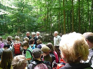 Waldjugendspiele begeisterten