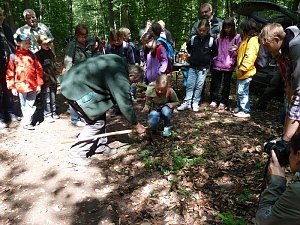 Waldjugendspiele begeisterten