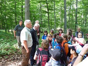 Waldjugendspiele begeisterten