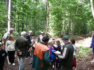 Waldjugendspiele begeisterten
